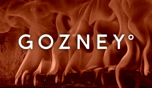 Gozney logo over flames inside a pizza oven